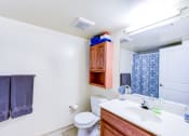 Thumbnail 13 of 20 - bathroom with vanity, large mirror, medicine cabinet, and toilet at park vista apartments in washington dc