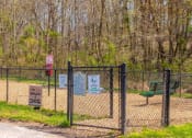 Thumbnail 16 of 37 - Dog Park