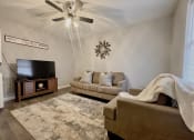 Thumbnail 9 of 27 - a living room with two couches and a tv