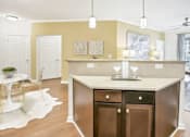 Thumbnail 14 of 25 - Kitchen Sink With Faucet at Residence at Marina Bay, Irmo South Carolina