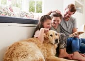 Thumbnail 15 of 21 - a family sitting on the floor with a dog
