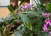 Thumbnail 13 of 30 - Greenhouse Lobby