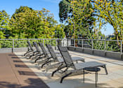 Thumbnail 4 of 47 - a row of chaise lounge chairs on a patio with trees