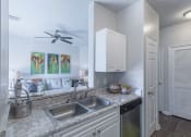 Thumbnail 5 of 27 - Kitchen Sink at Reserve at Bridford, Greensboro, North Carolina