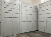 Thumbnail 20 of 27 - package lockers at Reserve at Bridford, Greensboro, 27407