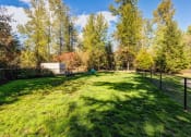 Thumbnail 27 of 30 - a large yard with a fence and trees at Madison Sierra Sun, Puyallup, WA