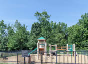 Thumbnail 24 of 27 - Play Area at Reserve at Bridford, North Carolina