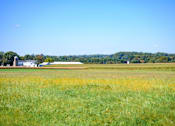Thumbnail 116 of 124 - A field of yellow flowers with a house and trees in the distance at Madison Prickett Preserve, Yardley