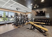 Thumbnail 22 of 124 - the gym has a slew of treadmills and other exercise equipment at Madison Prickett Preserve, Pennsylvania, 19067