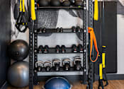 Thumbnail 31 of 124 - A gym setup with a squat rack, weights, and a bench at Madison Prickett Preserve, Yardley, PA