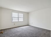 Thumbnail 15 of 17 - a bedroom with white walls and carpet and a window
