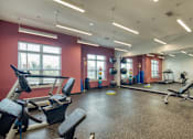 Thumbnail 9 of 21 - Fitness Center, The Rosa