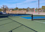 Thumbnail 9 of 11 - Pickleball Courts