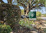 Thumbnail 1 of 10 - A green sign with the text "HOLLY" is in front of a tree.