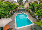 Thumbnail 3 of 15 - Pool area