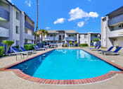 Thumbnail 8 of 23 - A swimming pool surrounded by lounge chairs and palm trees.