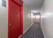 Thumbnail 4 of 16 - carpeted corridor
