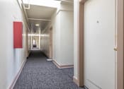 Thumbnail 7 of 12 - Building hallway and front doors