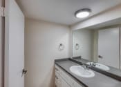 Thumbnail 11 of 13 - Vanity in Master Bath