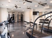 Thumbnail 12 of 21 - Fitness Center