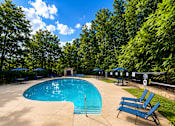 Thumbnail 16 of 21 - A swimming pool surrounded by trees and chairs.
