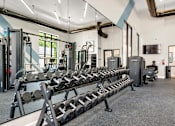 Thumbnail 14 of 32 - A gym with a row of black dumbbells on a rack.
