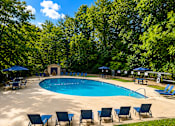 Thumbnail 17 of 21 - A pool surrounded by trees and chairs.