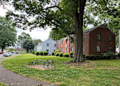 Thumbnail 14 of 14 - a couple of bikes parked in a grassy area next to a tree