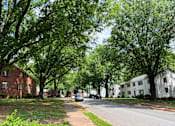 Thumbnail 10 of 14 - a street with houses and trees on both sides
