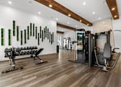 Thumbnail 9 of 19 - A gym with a row of dumbbells and a row of green bottles on the wall.