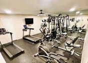Thumbnail 11 of 11 - A well equipped gym with treadmills, weights and exercise machines.