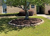 Thumbnail 4 of 10 - A tree in front of a building with a sign that says "OFFICE".