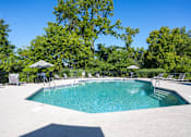 Thumbnail 1 of 11 - A large outdoor swimming pool surrounded by trees and lounge chairs.