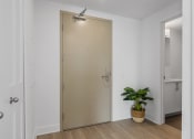 Thumbnail 24 of 59 - a room with a closet and a potted plant on the floor