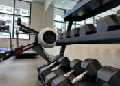 Thumbnail 19 of 21 - a gym with weights and a plane on the floor