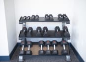 Thumbnail 27 of 32 - free weights at Skylark, Georgia