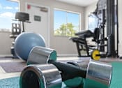Thumbnail 20 of 22 - A pair of dumbbells are on a green mat in a gym.