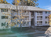 Thumbnail 2 of 19 - A white apartment building with a tree in front of it.