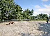 Thumbnail 4 of 14 - A sandy area with a picnic table and trees in the background.