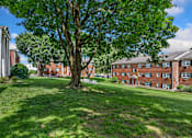 Thumbnail 13 of 51 - A tree in a grassy area in front of a red brick building.