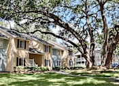 Thumbnail 18 of 24 - A row of houses with trees in front.