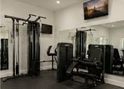 Thumbnail 48 of 56 - A gym with a variety of equipment including a bench, a rowing machine, and a treadmill.
