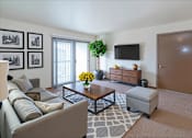 Thumbnail 1 of 17 - A living room with a grey couch, a coffee table, a plant, a TV, and a brown door.