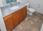 Thumbnail 12 of 17 - Luxurious Bathroom at Steedman Apartments, Ohio