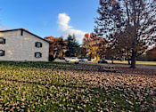Thumbnail 4 of 15 - a house with a picnic table in a field with leaves on the ground