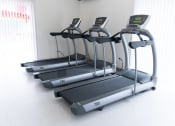 Thumbnail 21 of 24 - Cardio Machines at Oliver Apartments, Temperance, 48182