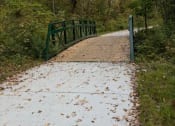 Thumbnail 2 of 8 - a green bridge over a trail in the woods