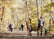 Thumbnail 43 of 66 - Chattahoochee National Recreation Area