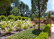 Thumbnail 19 of 24 - The Legacy at Walton Overlook Courtyard, Acworth, GA