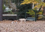 Thumbnail 33 of 66 - Walton on the Chattahoochee Fenced Dog Park, Atlanta GA